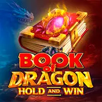 247Vibes – Book Of Dragon